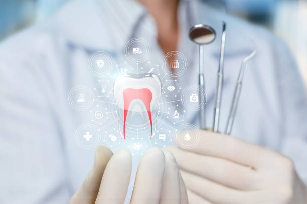 Trusted Demorest, GA Dental Services Experts